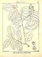  no thumbnail available