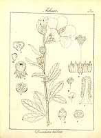  no thumbnail available