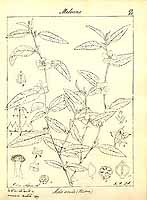  no thumbnail available