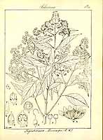  no thumbnail available