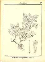  no thumbnail available