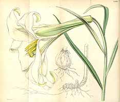  no thumbnail available