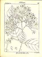  no thumbnail available