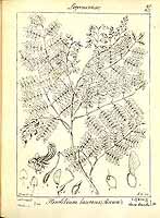  no thumbnail available