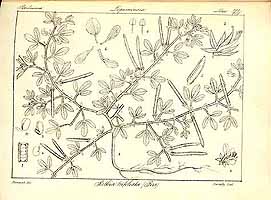  no thumbnail available