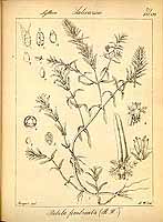  no thumbnail available