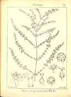  no thumbnail available