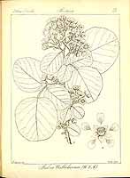  no thumbnail available