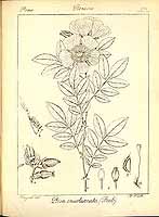  no thumbnail available