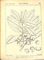  no thumbnail available