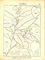  no thumbnail available