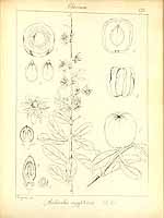  no thumbnail available