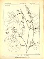  no thumbnail available