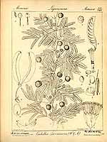  no thumbnail available