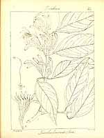  no thumbnail available