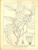  no thumbnail available