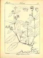  no thumbnail available