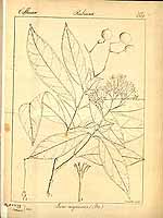  no thumbnail available