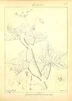  no thumbnail available