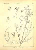  no thumbnail available