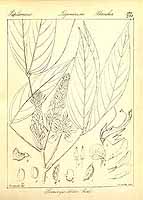  no thumbnail available