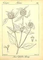  no thumbnail available