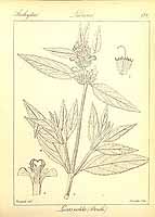  no thumbnail available