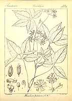  no thumbnail available