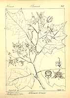  no thumbnail available