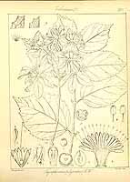  no thumbnail available