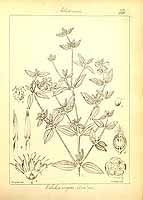  no thumbnail available