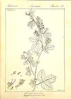  no thumbnail available