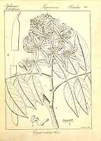  no thumbnail available