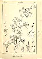  no thumbnail available