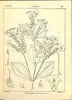  no thumbnail available