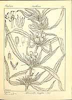  no thumbnail available