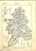  no thumbnail available