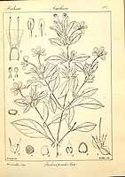  no thumbnail available