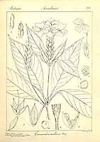  no thumbnail available