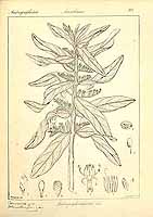  no thumbnail available