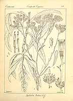  no thumbnail available