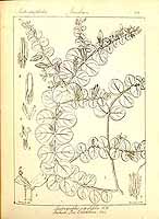  no thumbnail available