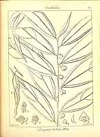  no thumbnail available