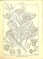  no thumbnail available