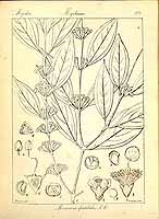  no thumbnail available