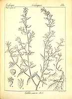  no thumbnail available