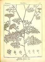  no thumbnail available