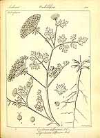  no thumbnail available