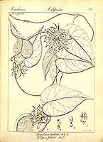  no thumbnail available