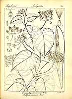  no thumbnail available